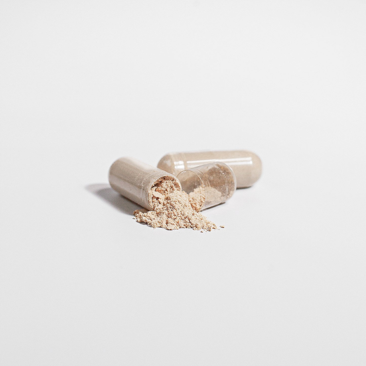 Chaga Mushroom Capsules for Daily Immune and Gut Support